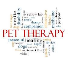 Pet Therapy by H.A.T.