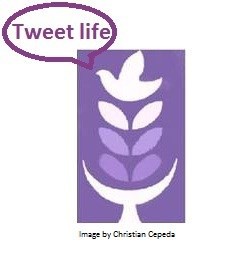 Twitter for Professional Learning