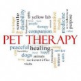 Pet Therapy by H.A.T.